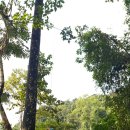 블루라군 이미지