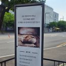 라본느 베이커리 이미지