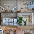 엠지에스 이미지