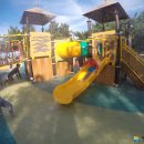 영덕고래불국민야영장 이미지