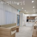 허니엘부스 헤어살롱 네이버블로그