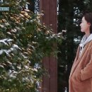 머쉬멜로우민박 이미지