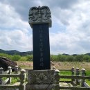 유림-31 이미지