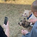 펫빌리지 | [오늘] 창원유기견보호소 봉사활동 후기(산책봉사/펫빌리지)