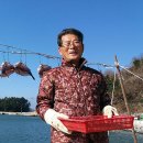 자봉도 Daum카페