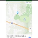 강원도 현장투표 장소 여기라고요????? 이미지