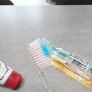 주식회사 신텍스헬스케어 | 이중모 칫솔로 잇몸케어 제대로! 어금니까지 깔끔하게 관리하는 셀루리치 칫솔 사용 후기