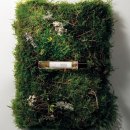 Friends (season1, episode1, scene5-JUST MONICA, WORKING | Attention Inventory: Topknots, Color Theory, Scintillant Places