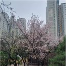 판교봇들공인중개사사무소 | 판교역 부동산의 진가, 봇들7단지와 이웃 단지들의 매력은?