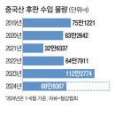 덤핑싸