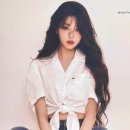 타미 이미지