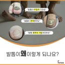 레푸스익산 이미지