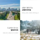 더샵유통 이미지
