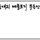 읍내리농로 이미지