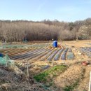 오뚜기농장 이미지