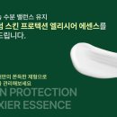 덤 대리점