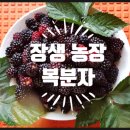 장생사슴농장 이미지