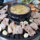 착한암돼야지
