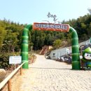 맹종죽테마파크1 이미지
