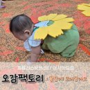 홈플러스 아시아드점 앞 | 아기천사 꽃밭에서 렌틸콩 오감놀이: 홈플러스 아시아드점 오감팩토리