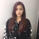 데이데이101