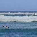 파라다이스 이미지