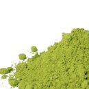 편백나무아래 이미지