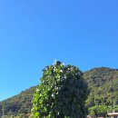 진철농장 이미지