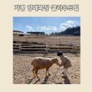 나영목장 이미지