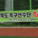 [2013/05/26] 제42회 소년체전 여자축구 8강전 강원성덕초vs충남연무중앙초 경기중 이모저모 (2) 이미지