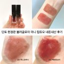 딘토 Dinto 한정판 블러글로이 미니 립듀오 251팍스로마다 252메멘토모리 내돈내산 솔직후기