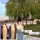 윔클리닉 미우핏 팔뚝살 시술 3회차 솔직 후기 (강남 다이어트 만족)
