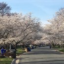 (주)조이버스 이미지