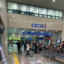 엄마와 떠나는 울릉도 패키지 여행 2박3일 첫번째 이야기 | 관음도 , 봉래폭포등