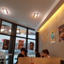 펜타포트국수나무 이미지