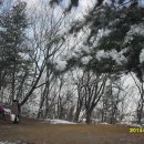 눈꽃이피다 이미지