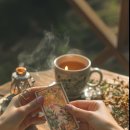 타로카드상담 이미지