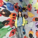 롯데 잠실 팝업 까웨 x 메종 키츠네 콜라보 방문해서 르 브레 입어봤어요~