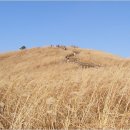 카플 주차장 이미지