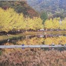 명지부동산중개사무소 이미지