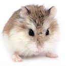 나무동물병원 이미지