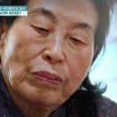 1년전 치매 초기진단... 88세 전원주 "처참하다, 사는게 사는게 아냐" 이미지