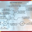 에스앤지 이미지