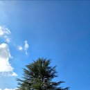 의곡초등학교 분교 이미지