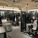 팀휘트니스 이미지