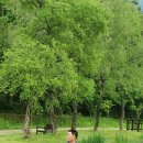 정임 이미지