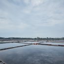 동주로(동주길) 이미지