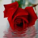 림스키 코르사코프(Rimsky-Korsakov) 오페라 「사드코(Sadko)」 #2-2 이미지