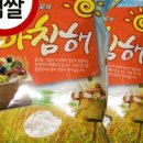포인트농산