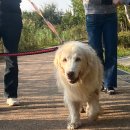 자란초교 이미지